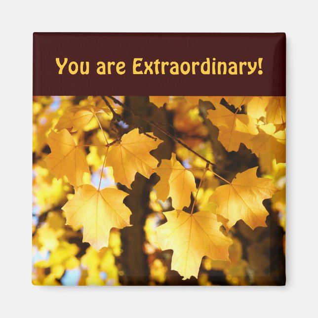 Compliment magnets You are Extraordinary Autumn (Front)