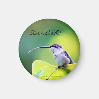 Compliments to the Chef! Magnet