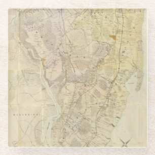 Composite Staten Island Glass Coaster