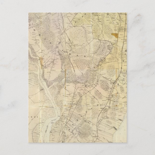 Composite Staten Island Postcard (Front)