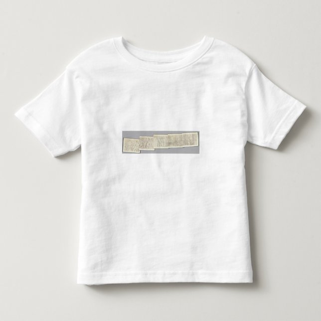 Composite Topographical maps IV Toddler T-Shirt (Front)