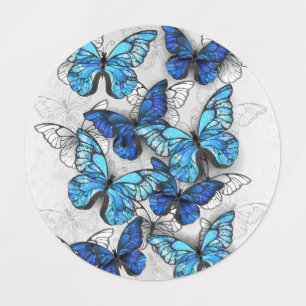 Composition of White and Blue Butterflies