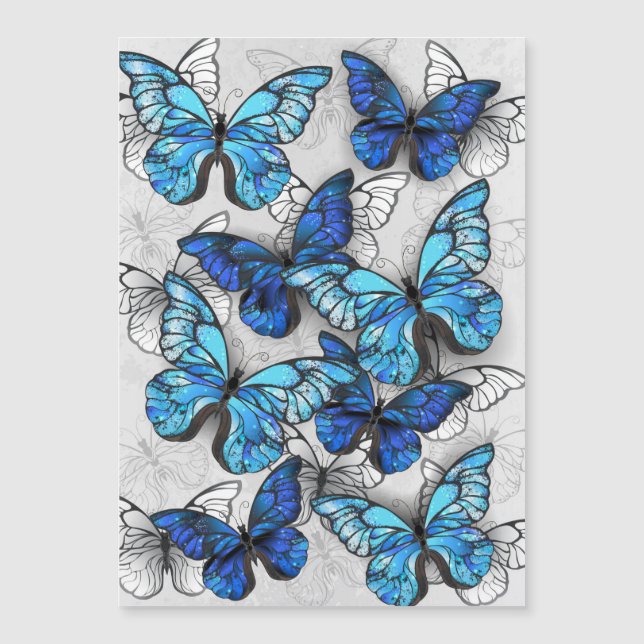 Composition of White and Blue Butterflies (Front)