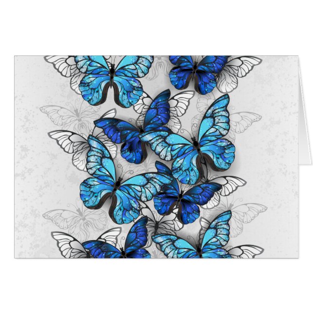 Composition of White and Blue Butterflies (Front Horizontal)