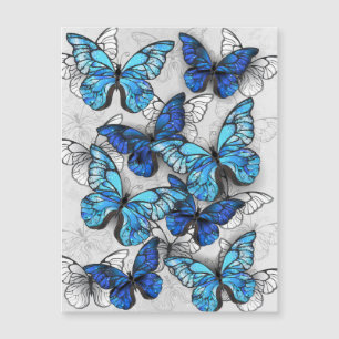 Composition of White and Blue Butterflies