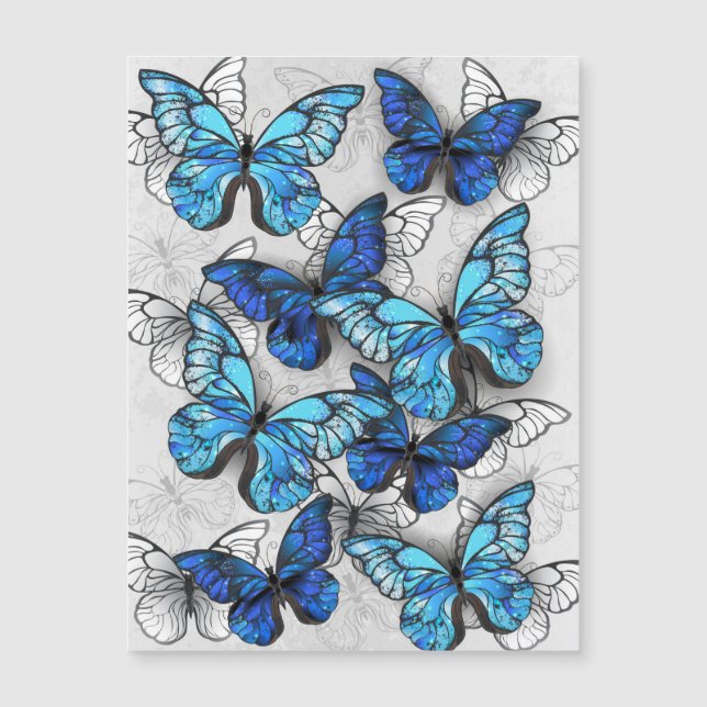 Composition of White and Blue Butterflies (Front)