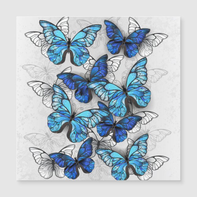 Composition of White and Blue Butterflies (Front)