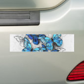 Composition of White and Blue Butterflies Bumper Sticker (On Car)