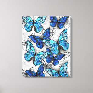 Composition of White and Blue Butterflies Canvas Print