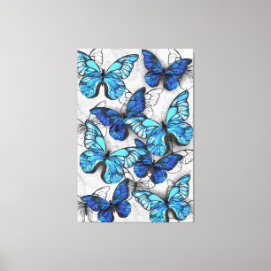 Composition of White and Blue Butterflies Canvas Print