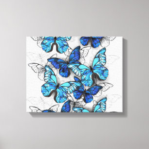 Composition of White and Blue Butterflies Canvas Print