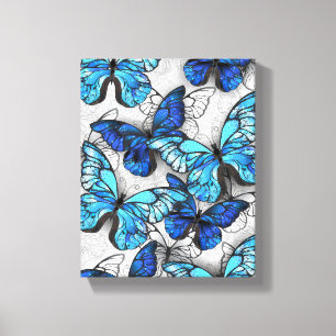 Composition of White and Blue Butterflies Canvas Print