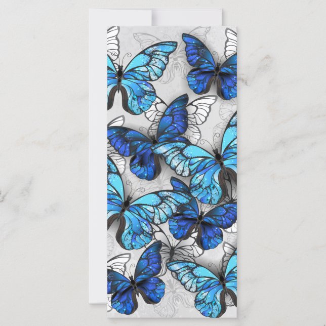 Composition of White and Blue Butterflies Card (Front)
