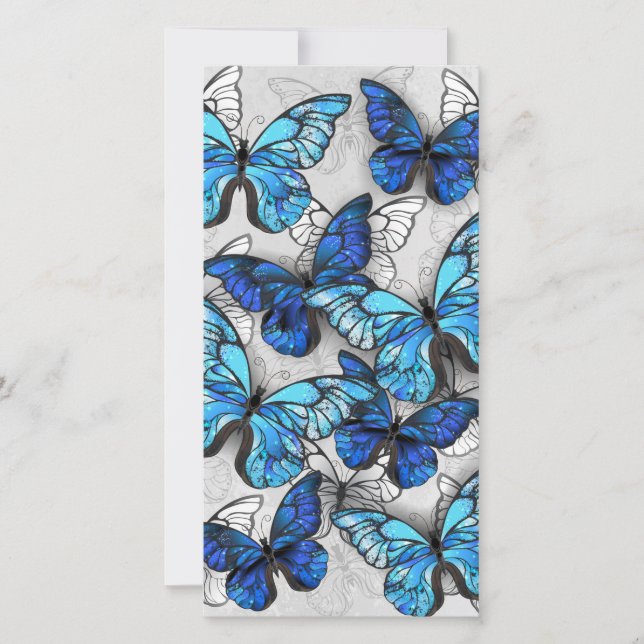 Composition of White and Blue Butterflies Card (Front)