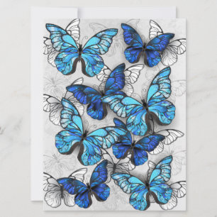 Composition of White and Blue Butterflies Card