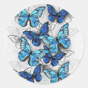 Composition of White and Blue Butterflies Classic Round Sticker