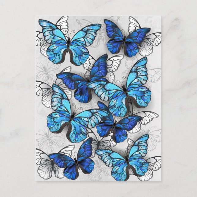 Composition of White and Blue Butterflies Holiday Postcard (Front)