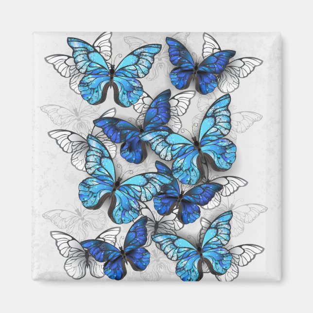 Composition of White and Blue Butterflies Magnet (Front)