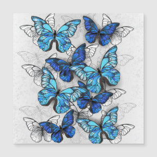 Composition of White and Blue Butterflies Magnetic Invitation