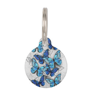 Composition of White and Blue Butterflies Pet Tag