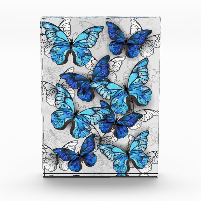 Composition of White and Blue Butterflies Photo Block (Front)