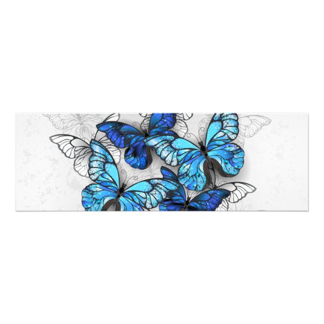 Composition of White and Blue Butterflies Photo Print (Front)