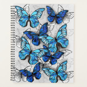 Composition of White and Blue Butterflies Planner