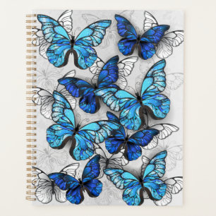 Composition of White and Blue Butterflies Planner