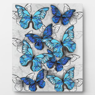 Composition of White and Blue Butterflies Plaque