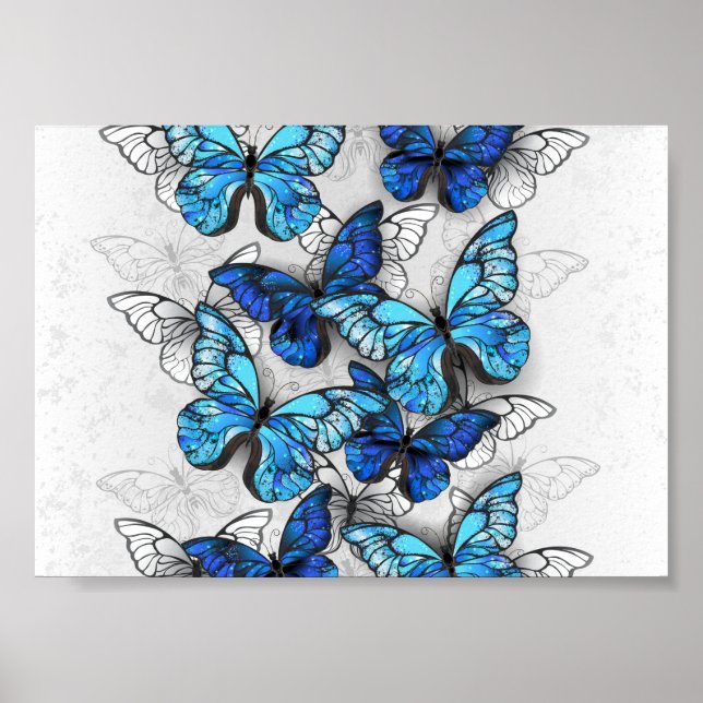 Composition of White and Blue Butterflies Poster (Front)