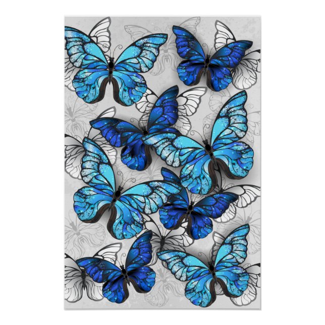 Composition of White and Blue Butterflies Poster (Front)