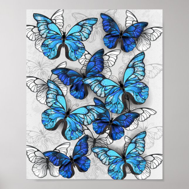 Composition of White and Blue Butterflies Poster (Front)