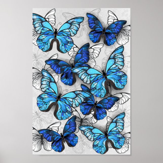 Composition of White and Blue Butterflies Poster (Front)