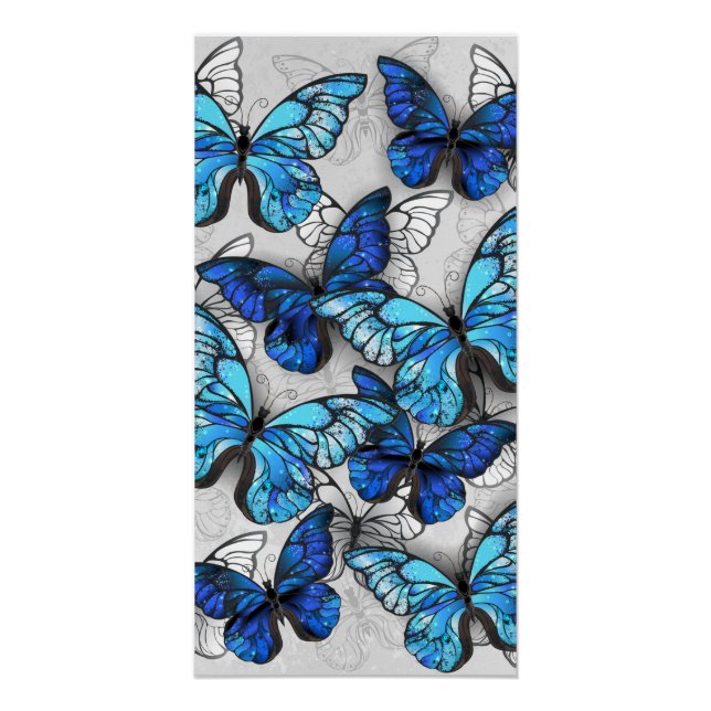 Composition of White and Blue Butterflies Poster (Front)