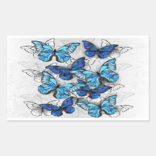 Composition of White and Blue Butterflies Rectangular Sticker