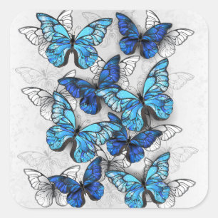Composition of White and Blue Butterflies Square Sticker