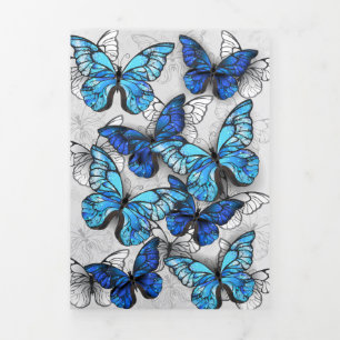 Composition of White and Blue Butterflies Tri-Fold Announcement