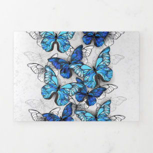 Composition of White and Blue Butterflies Tri-Fold Card