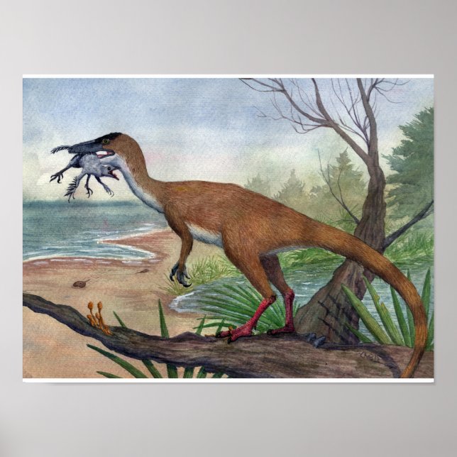 Compsognathus Print (Front)