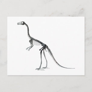 compsognathus skeleton postcard