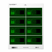 Computer & Info Security Cyber Services Padlock