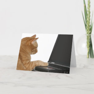 computing cat card