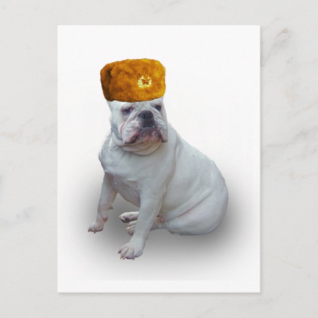 Comrad Bulldog Postcard (Front)