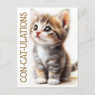 Con-Cat-Ulations, Cat, Kitten, Kitty, Congrats  Postcard