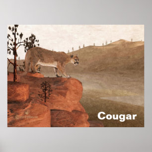 Concentration - Cougar Poster