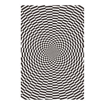 Concentric Circles Shifted 9 Degrees Poster