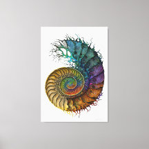 Concept Fossil Ammonite in vibrant Ink Colouring