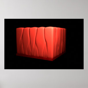 Concept Of Pseudostratified Columnar Epithelium Poster