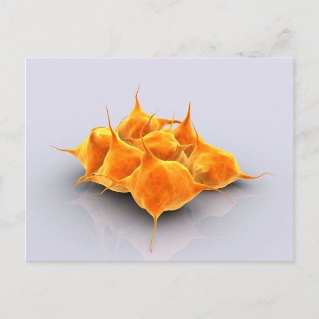 Conceptual Image Of A Group Of Platelets Postcard (Front)