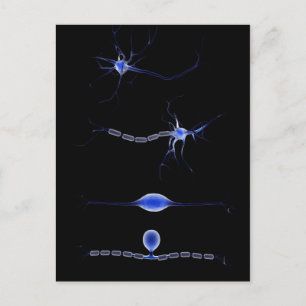 Conceptual Image Of A Neuron 1 Postcard